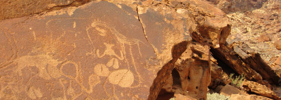 Damaraland Felsgravuren Namibia