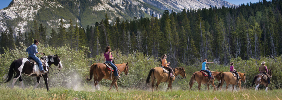 Banff Nationalpark Reitgruppe Alberta