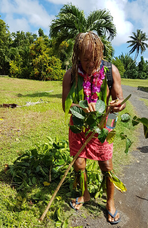 Cook Inseln Reisebericht - Nature Walk mit "Pa"