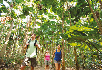 Reisebericht Australien: Daintree Nationalpark