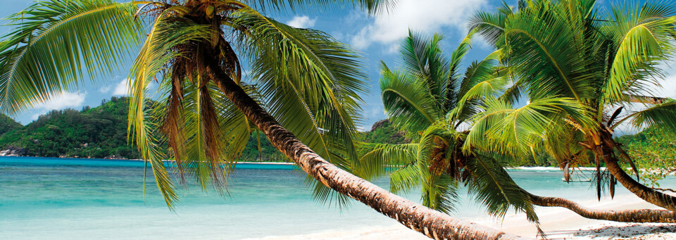 Strand auf den Seychellen