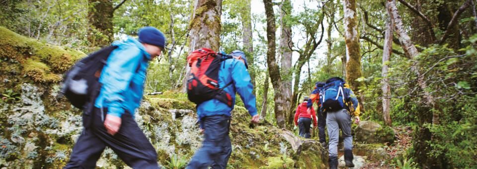 Wanderer auf dem Hollyford Track