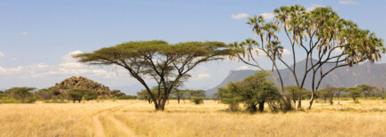 Masai Mara Fly-In Tour