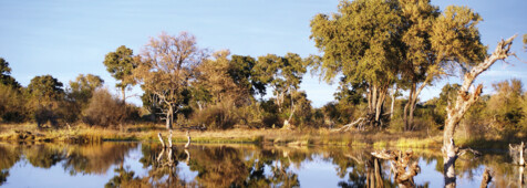 Khwai River Botswana