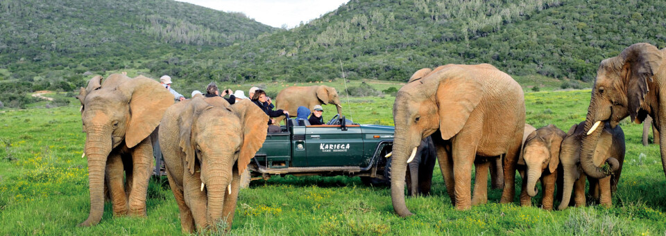 Pirschfahrt durchs Kariega Game Reserve Kenton on Sea