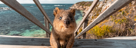 Westaustralien flexibel im Camper erkunden