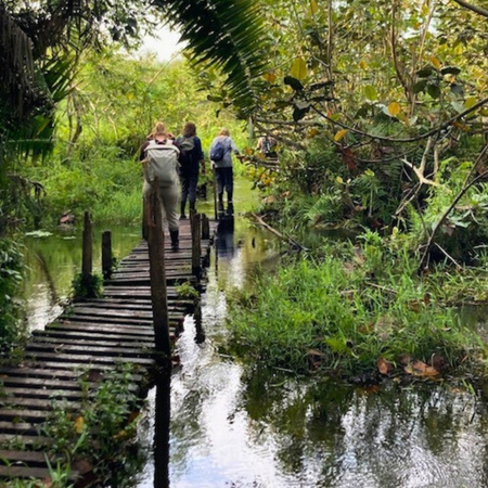 Wanderung im Bigodi-Sumpf