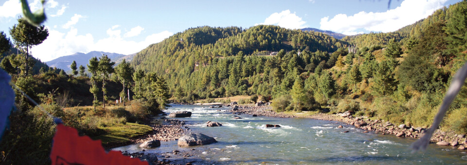 Fluss und Wald in Bumthang