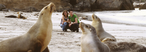 Kangaroo Island Tagestour