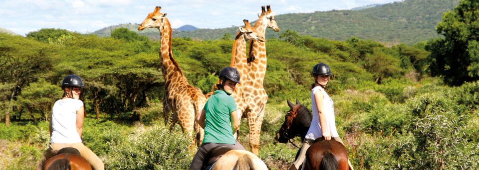 Reiter und Giraffen im Pakamisa Private Game Reserve in Südafrika