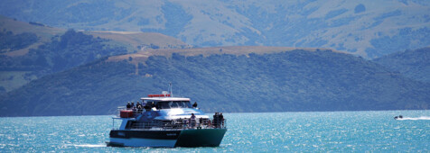 Akaroa & Wildlife Bootstour