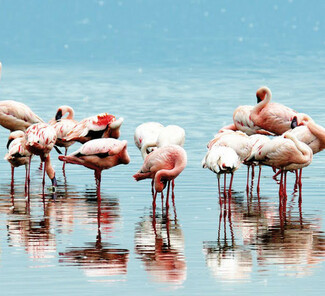 © Kenya Tourism Board © Kenya Tourism Board
