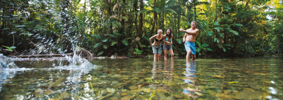 Daintree Region - Coopers Creek