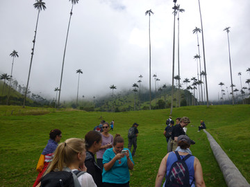 Wanderung durch das Cocora Valley in Kolumbien