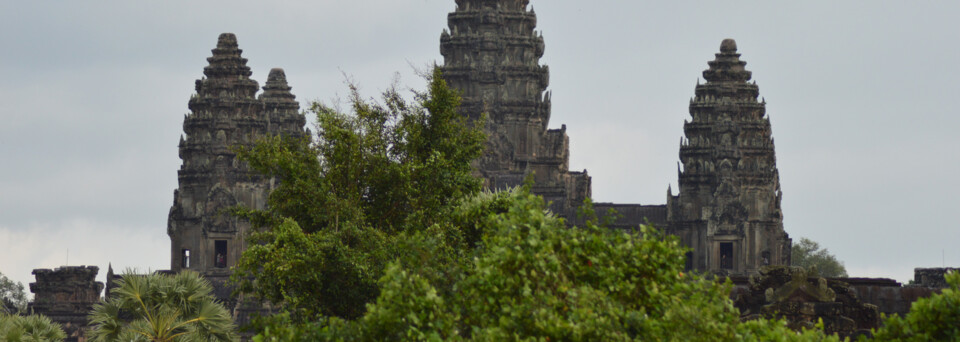 Vom Dschungel umgebener Tempel Angkor Wat