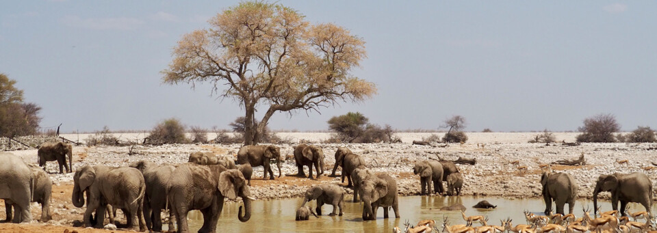 Etosha Nationalpark