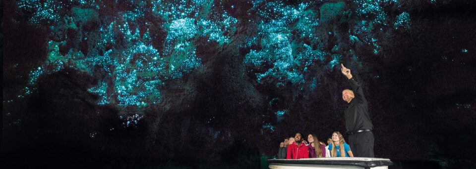 Glühwürmchenhöhle von Waitomo in Neuseeland