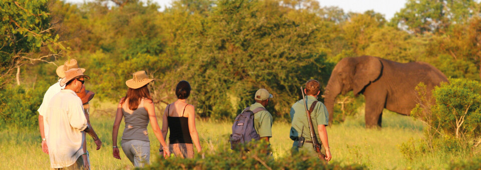 Rhino Post Safari Lodge Plains Camp - Walking Safari im Krüger Nationalpark