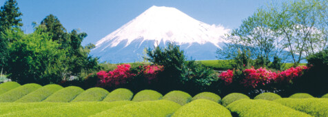 Fuji Vulkan