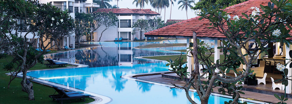 Pool des Club Hotel Dolphin