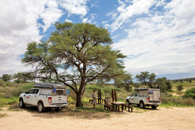 Auf Safari mit einem AVIS Camper