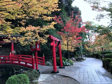 Kyushu Reisebericht