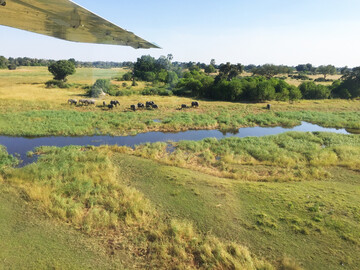 Rundflug über das Okavango Delta - Botswana Reisebericht