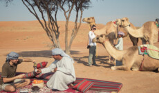 1001 Nacht - Sultanat Oman im Camper erfahren