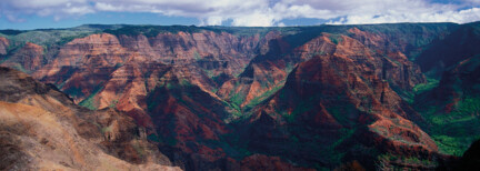 Waimea Canyon Tour