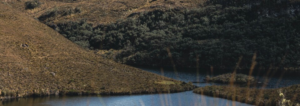 Cajas Nationalpark