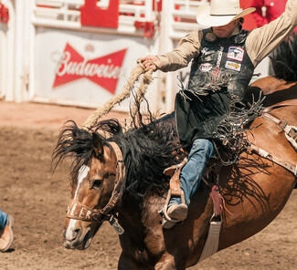 © Calgary Stampede © Calgary Stampede