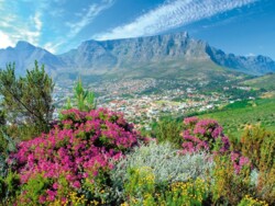 Südafrika Urlaub in Kapstadt