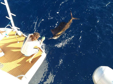 Reisebericht Seychellen - Fischfang