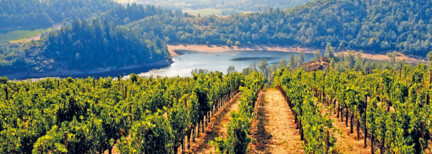 Napa Valley und Sonoma County Weintour