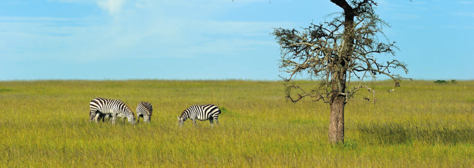 Masai Mara National Reserve