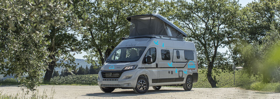 Bunk Campers Vista