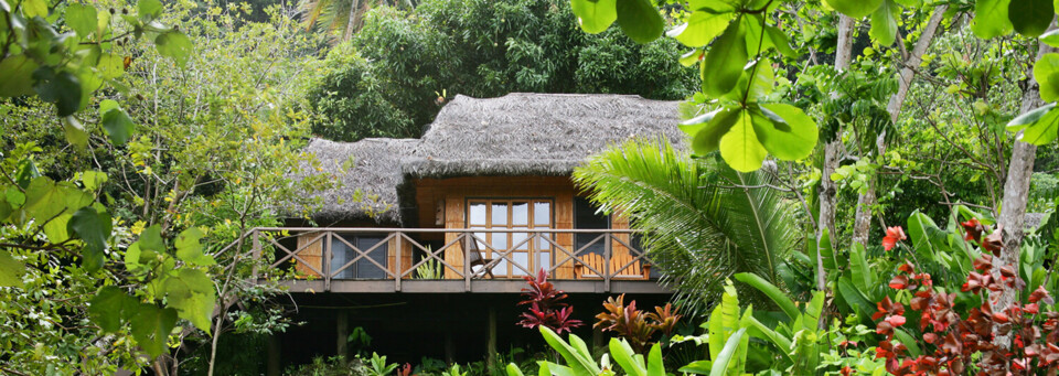 Matangi Private Island Resort Treehouse
