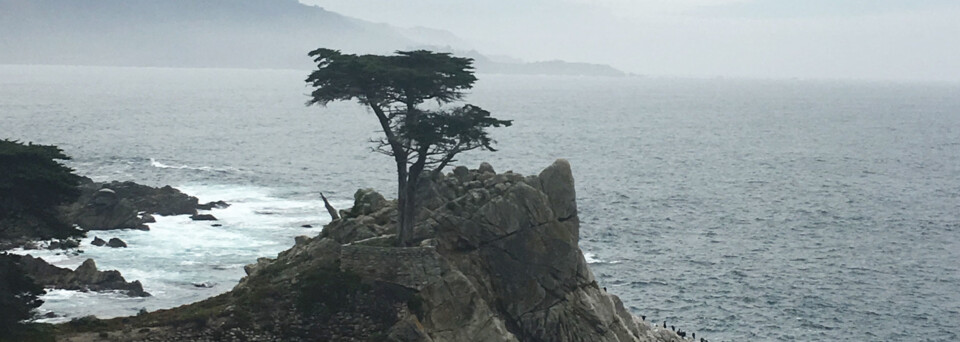 Reisebericht Kalifornien - Lone Cypress, Pebble Beach, 17-Mile-Drive