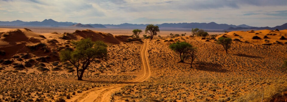 Fly&Drive in Namibia 