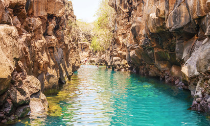 Las Grietas Lagune auf Santa Cruz