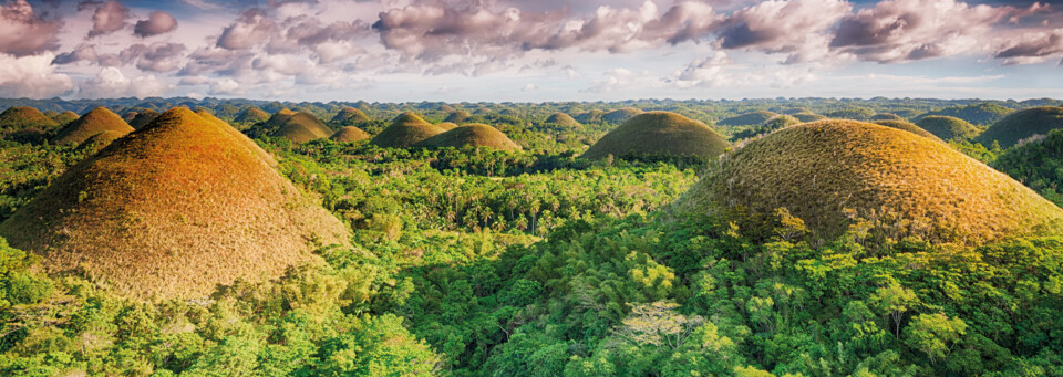 Chocolate Hills