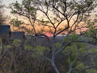 Südafrika Reisebericht: Drifters Bushlodge in Balule Nature Reserve