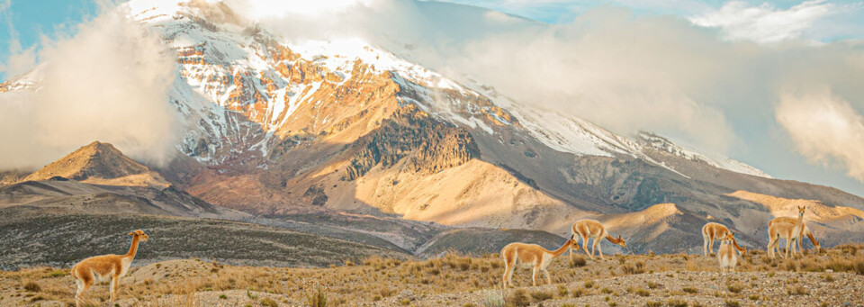 Chimborazo