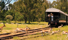 Rovos Rail Zugreise ab Pretoria/bis Walvis Bay
