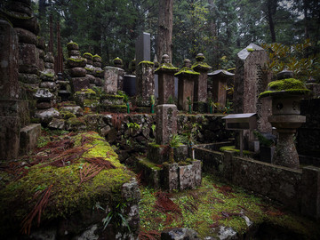 Reisebericht Japan: Friedhof im Zedernwald auf dem heiligen Berg Koya