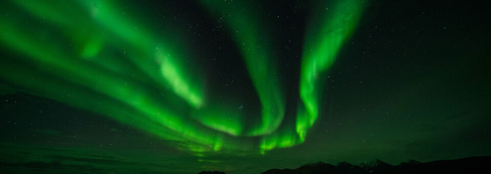 Nordlichter Tromso