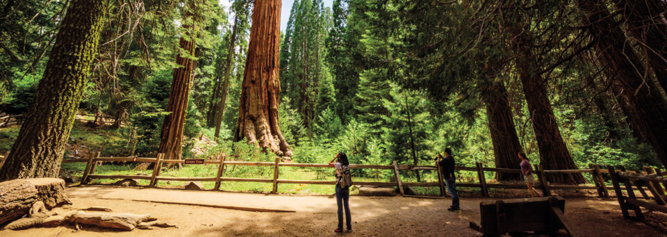 Sequoia Nationalpark