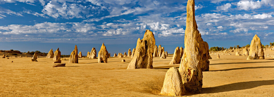 Pinnacles im Nambung Nationalpark