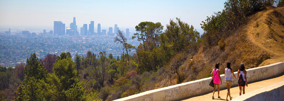 Hollywood Hills