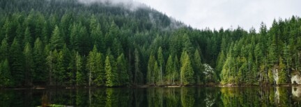 Aktiv auf Vancouver Island - deutschsprachig